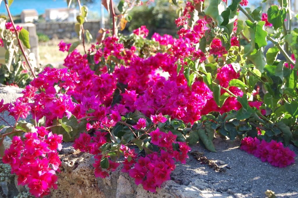 קרדמילי Meropi Villas מראה חיצוני תמונה
